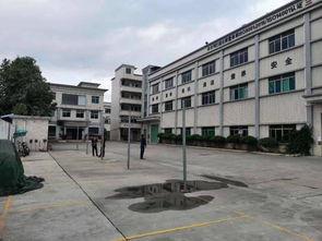 东莞石排最新爆料,揭秘城市变迁背后的故事 第1张 东莞石排最新爆料,揭秘城市变迁背后的故事 第1张